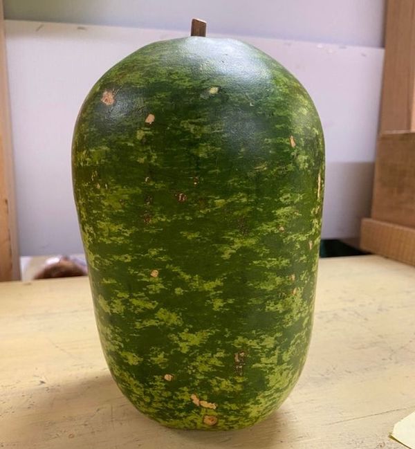 weird things  - watermelon