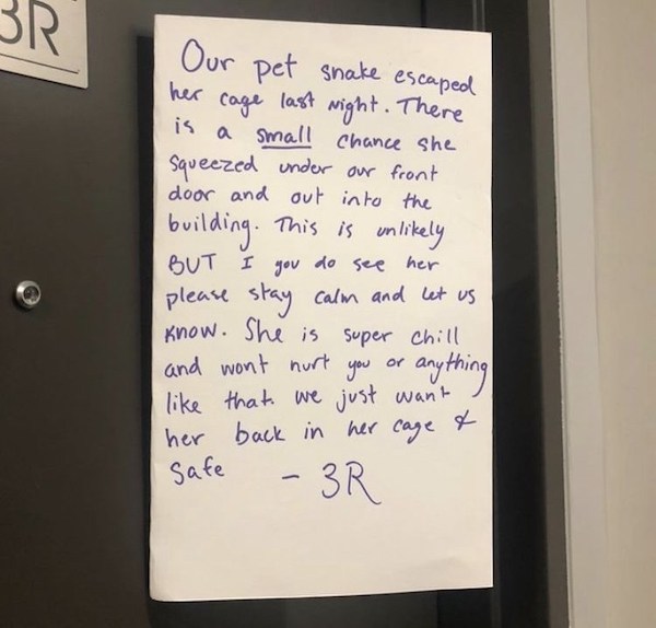 notes - handwriting - Br. Our pet snake escaped Cage last her Night. There is a small chance she squeezed under our front door and out into the building. This is unly But I you do see her please stay calm and let us know. She is super chill and won't hurt
