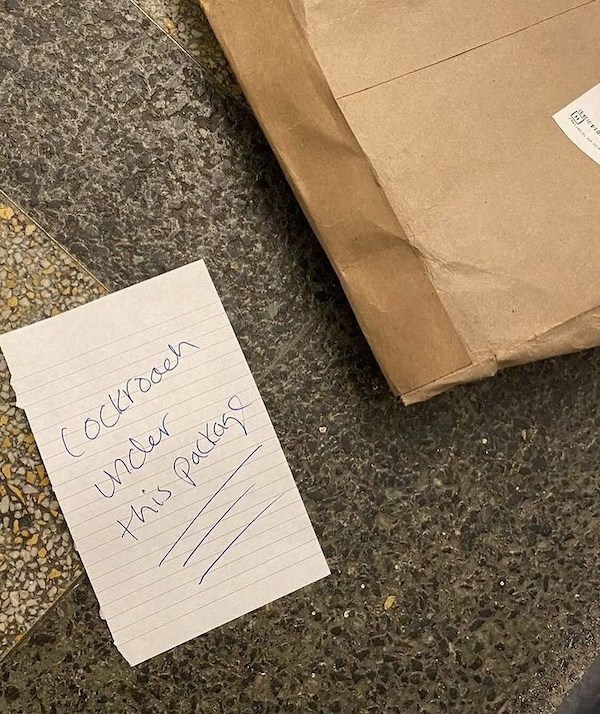 notes - material - Cockroach under this package