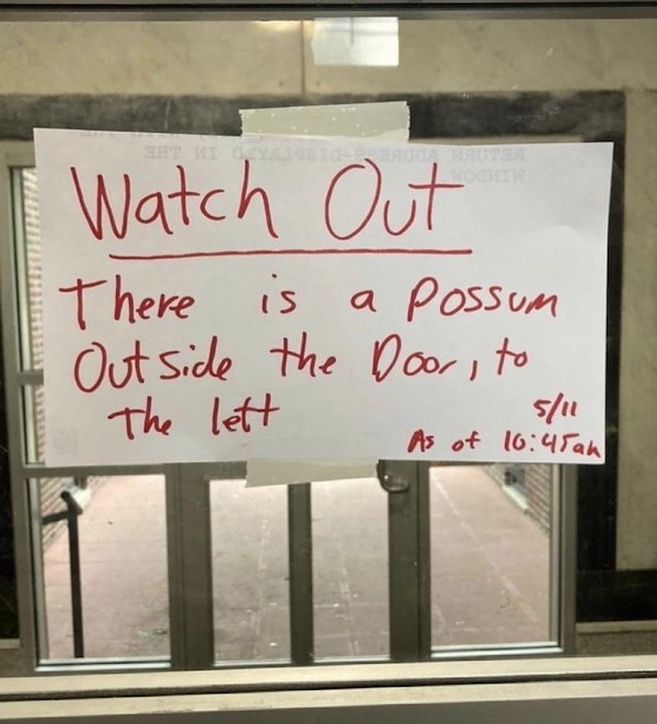 notes - signage - Shtu Edhe Watch Out There is a Possum Outside the Door, to The lett 511 As of ah