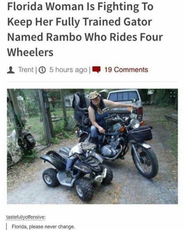 wild headlines - atv riding alligator - Florida Woman Is Fighting To Keep Her Fully Trained Gator Named Rambo Who Rides Four Wheelers Trento 5 hours ago 19 tastefullyoffensive Florida, please never change.