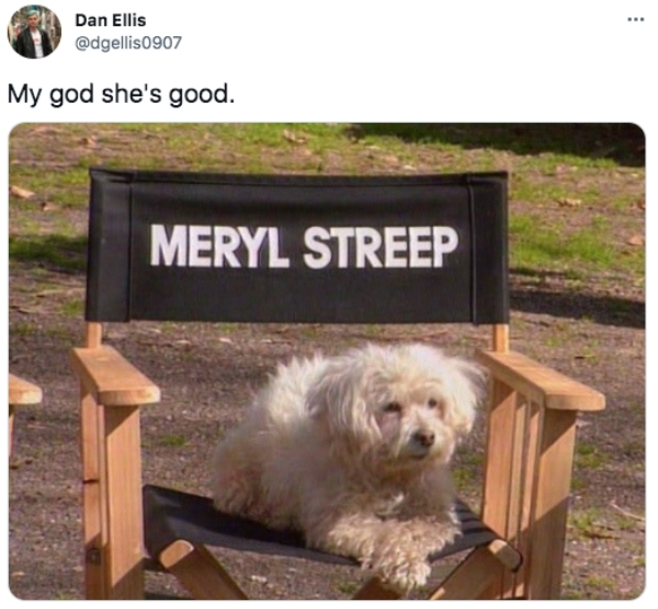 best tweets 2021 -meryl streep my god she's good - Dan Ellis My god she's good. Meryl Streep