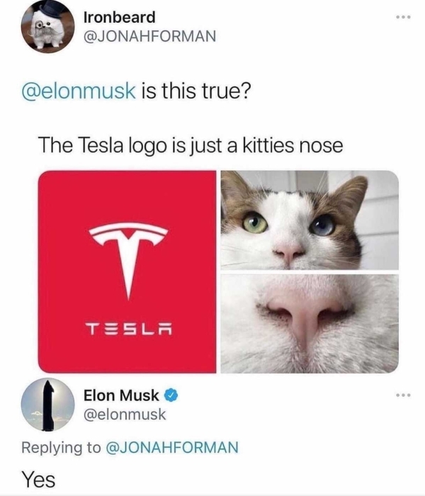 best tweets 2021 -tesla logo is a cat nose - Ironbeard is this true? The Tesla logo is just a kitties nose T Tesla Elon Musk Yes