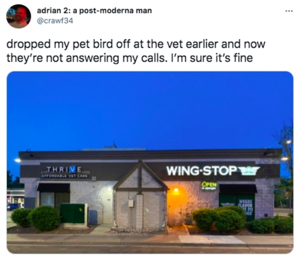 best tweets 2021 -real estate - adrian 2 a postmoderna man dropped my pet bird off at the vet earlier and now they're not answering my calls. I'm sure it's fine Thrive Affordable Vet Care WingStopy Open Where Flavor 17