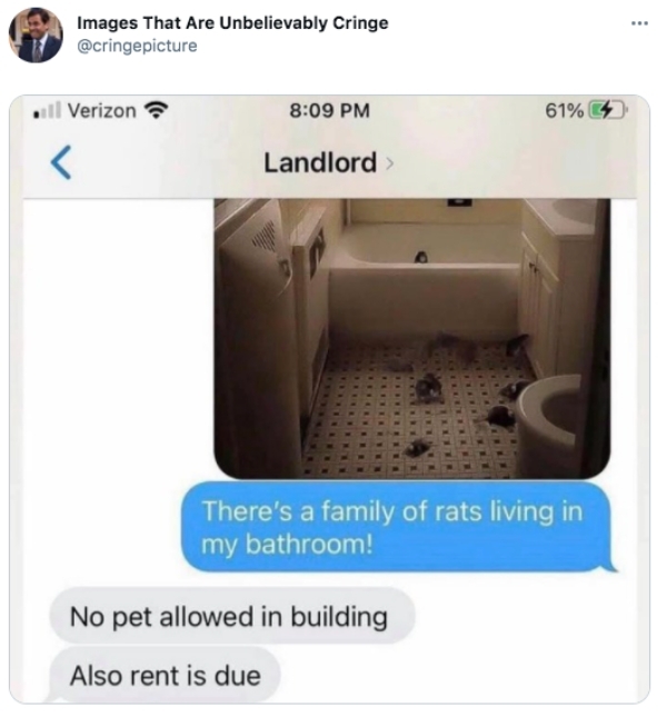 best tweets 2021 -landlords be like meme - Images That Are Unbelievably Cringe ... Verizon 61%C4 Landlord There's a family of rats living in my bathroom! No pet allowed in building Also rent is due