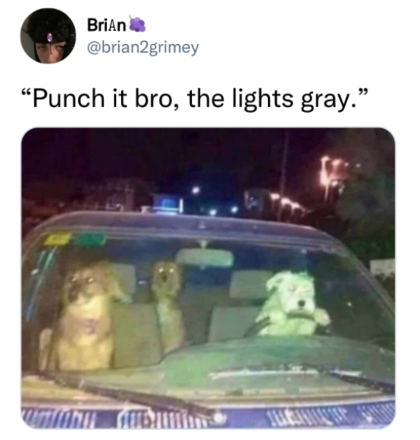 best tweets 2021 -hit it bro the lights grey - Brian Punch it bro, the lights gray.