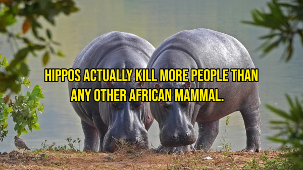 22 Facts Filled With WTF