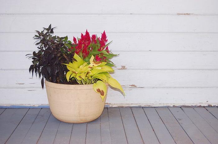 You should carry around a potted plant to make up for the air you waste.