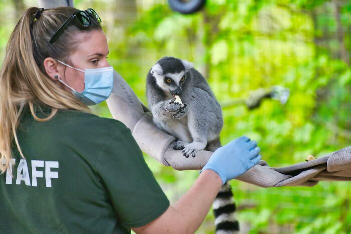 Zookeeper. You spend most of your time cleaning poop and you're paid like sh*t.