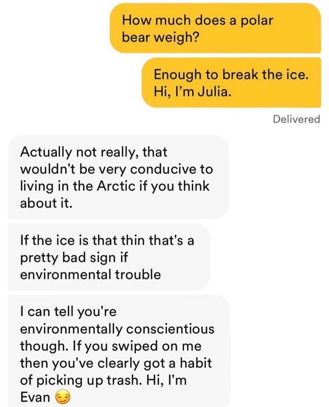 document - How much does a polar bear weigh? Enough to break the ice. Hi, I'm Julia. Delivered Actually not really, that wouldn't be very conducive to living in the Arctic if you think about it. If the ice is that thin that's a pretty bad sign if environm