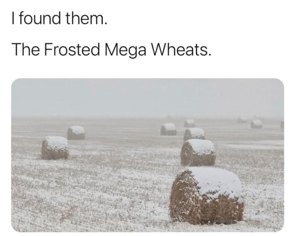 stupid funny things - r forbiddensnacks - I found them. The Frosted Mega Wheats.