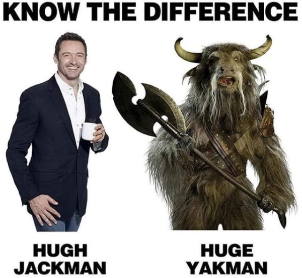 stupid funny things - hugh jackman huge yakman - Know The Difference Hugh Jackman Huge Yakman