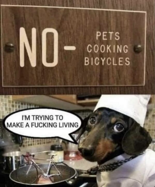 stupid funny things - no pets cooking bicycles - No Pets Cooking Bicycles I'M Trying To Make A Fucking Living