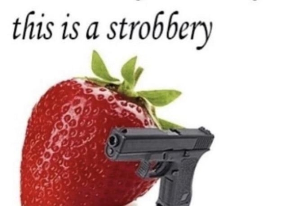 stupid funny things - strobbery meme - this is a strobbery