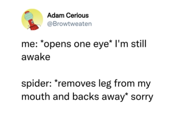 stupid funny things - Adam Cerious me opens one eye I'm still awake spider removes leg from my mouth and backs away sorry