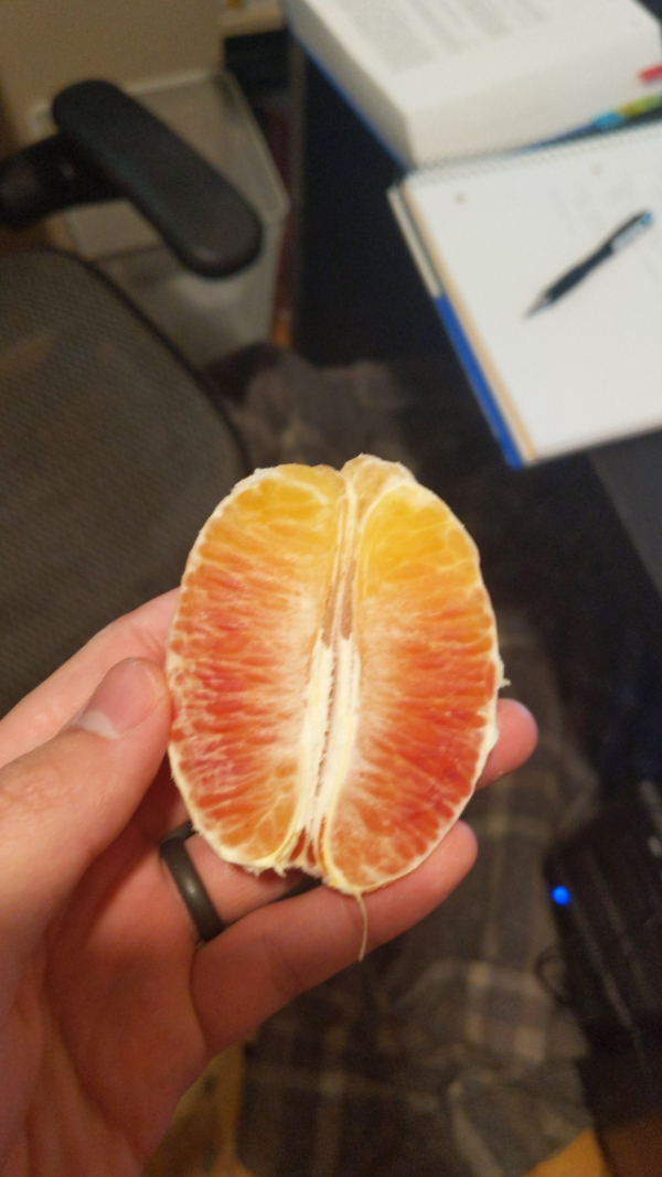 cool things - grapefruit