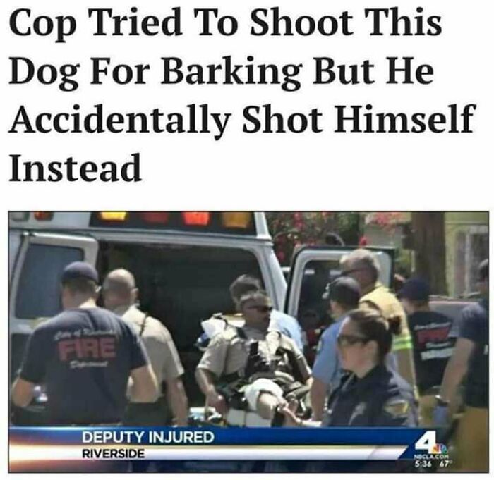 times justice was served  - cops getting what they deserve - Cop Tried To Shoot This Dog For Barking But He Accidentally Shot Himself Instead Fire Deputy Injured Riverside 4 At Noclacom 67