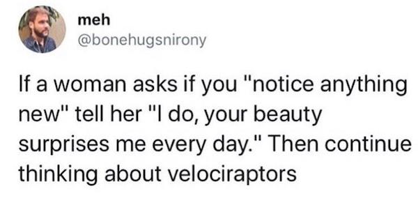 funny tweets - following is true about decentralization - meh If a woman asks if you "notice anything new" tell her "I do, your beauty surprises me every day." Then continue thinking about velociraptors