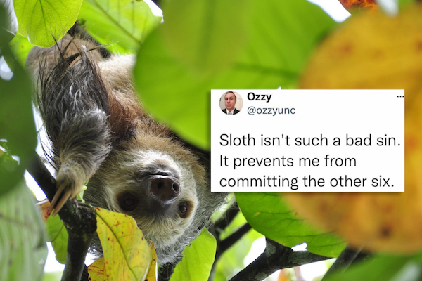 funny tweets - Ozzy Sloth isn't such a bad sin. It prevents me from committing the other six.
