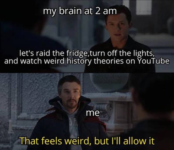 feel weird but i allow it meme - my brain at 2 am let's raid the fridge, turn off the lights, and watch weird history theories on YouTube me That feels weird, but I'll allow it