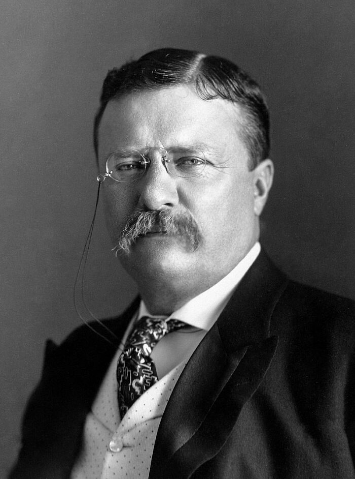 strange facts from history  - theodore roosevelt