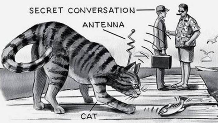 strange facts from history  - unsinkable sam - Secret Conversation Antenna Cat