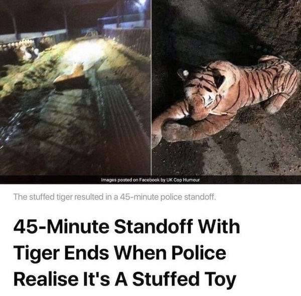 dumb people - cop tiger - Images posted on Facebook by Uk Cop Humour The stuffed tiger resulted in a 45minute police standoff. 45Minute Standoff With Tiger Ends When Police Realise It's A Stuffed Toy
