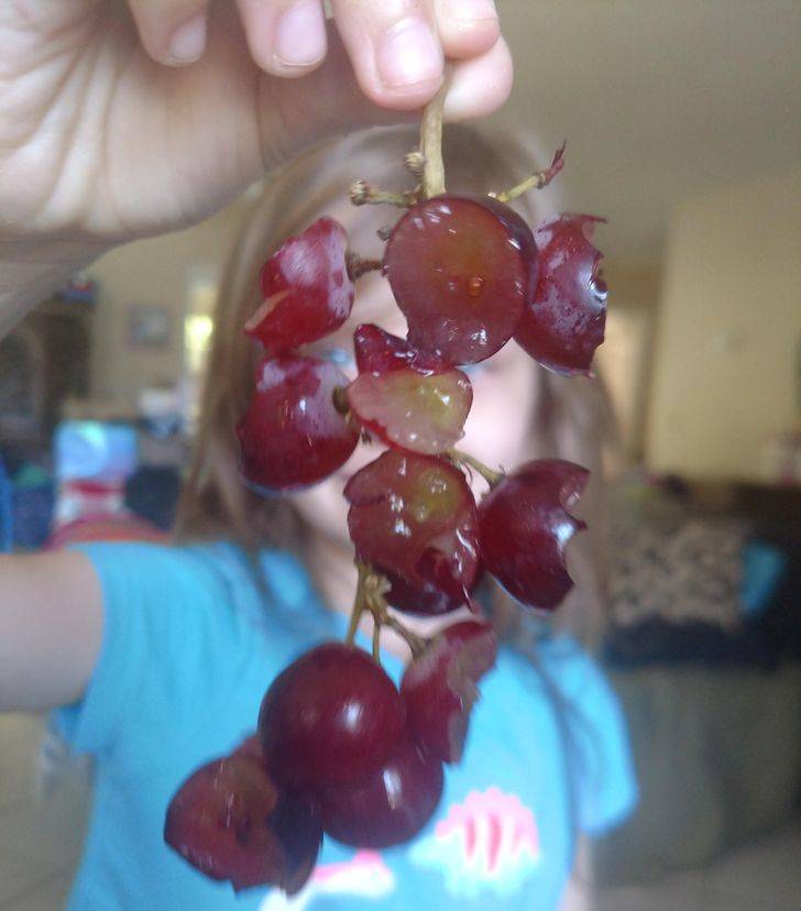 ’’When my 5-year-old eats grapes’’