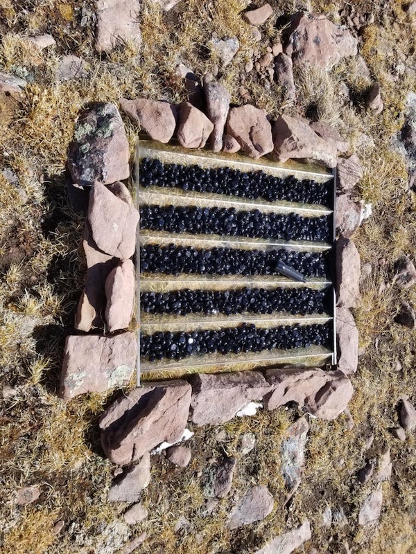 Roughly 2ft x 2ft plastic with v shaped channels filled with glass beads at 12’000ft.

A: It could collect rainwater and then the beads keep bees from falling in and drowning. I’ve seen that in bird feeders.