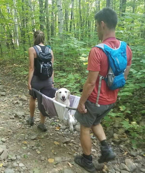 Good boy hurt his leg 2.5 miles up a mountain hike. Emergency transport was improvised.