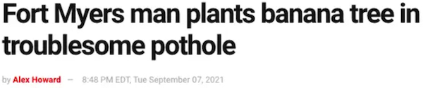 29 Crazy Headlines From Florida Man.