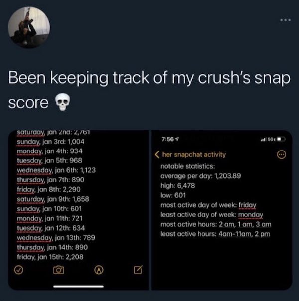 funny tweets  - screenshot - Been keeping track of my crush's snap score sell som saturday, Jan 2nd 2,767 sunday, Jan 3rd 1,004 monday. jan 4th 934 tuesday, Jan 5th 968 wednesday, Jan 6th 1,123 thursday, jan 7th 890 friday, jan 8th 2,290 saturday, Jan 9th
