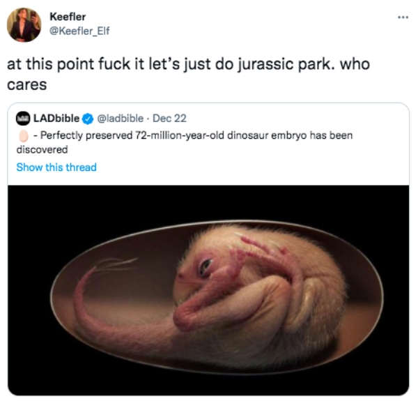 funny tweets  - dinosaur eggs fossils - Keefler at this point fuck it let's just do jurassic park. who cares LADbible Dec 22 Perfectly preserved 72millionyearold dinosaur embryo has been discovered Show this thread