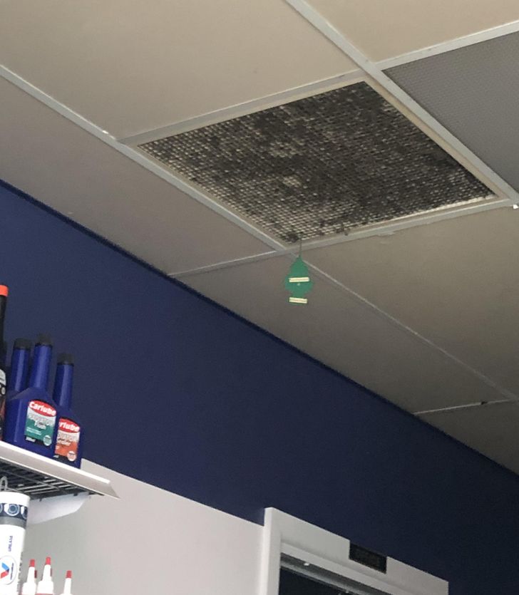 “Instead of cleaning the air vent, my local petrol station just hung an air freshener from it.”