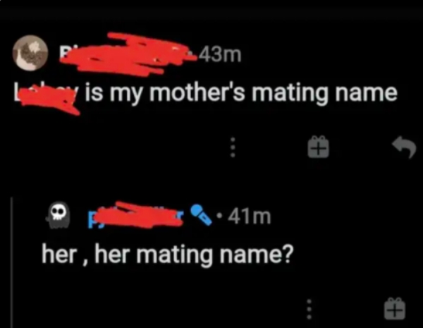 lyrics - 2.43m is my mother's mating name 41m her, her mating name?