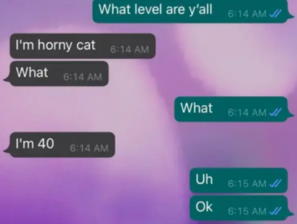 material - What level are y'all Vi I'm horny cat What What Ji I'm 40 $ Uh Ji Ok 1