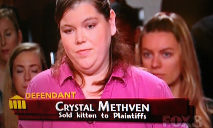 awful names - funny names krystal methven - Defendant Crystal Methven Sold kitten to Plaintiffs Fox