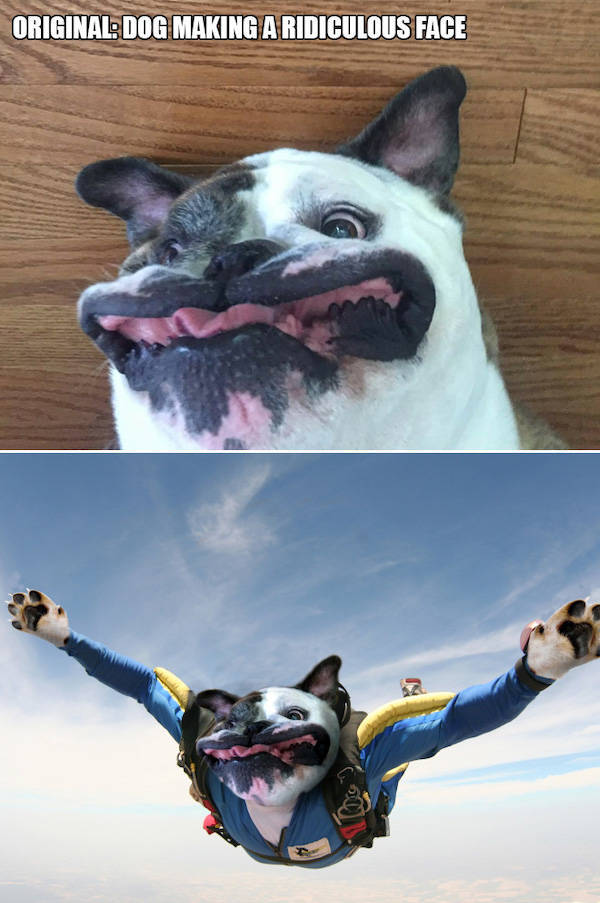 27 Pics With Absolutely No Photoshop.