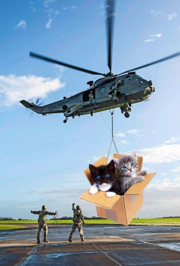 27 Pics With Absolutely No Photoshop.