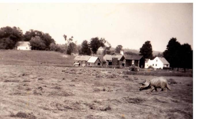 27 Pics With Absolutely No Photoshop.