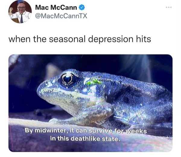 depressing memes - dank memes - fauna - Mac McCann when the seasonal depression hits By midwinter, it can survive for weeks in this death state.