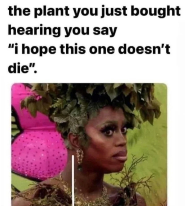depressing memes - dank memes - ra jah o hara meme - the plant you just bought hearing you say "i hope this one doesn't die".