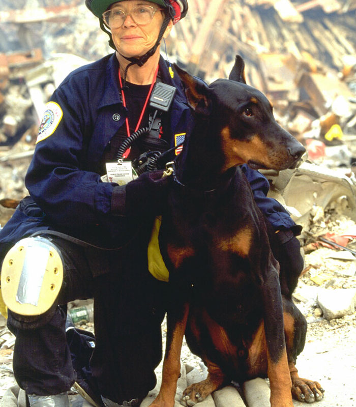 The search and rescue dogs on 9/11 were getting so sad from finding only deceased bodies, the human helpers buried themselves in the rubble so that the dogs could find them and be happy.