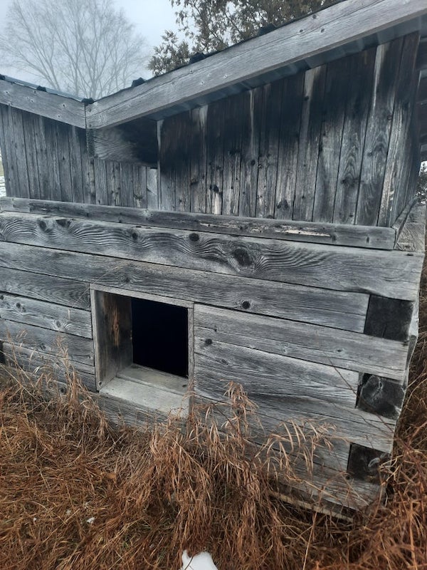 What is this strange shed with a body shaped table and a mineshaft? Seen in a farm field in Vermont

A: Definitely looks like a farm ice house to me. Late 19th early more likely early 20th century by the looks of it due to the roof shape and condition of the loading table.