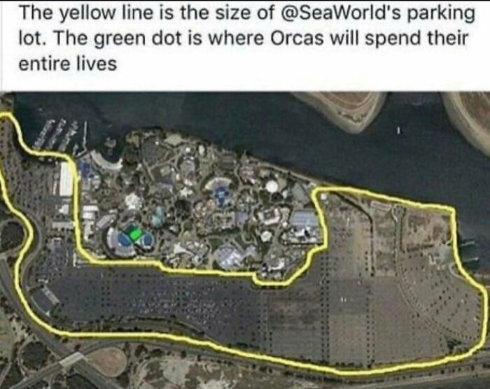 brutal pics of our harsh world - seaworld parking lot meme - The yellow line is the size of 's parking lot. The green dot is where Orcas will spend their entire lives