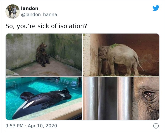 brutal pics of our harsh world - ban zoos - landon So, you're sick of isolation? 0