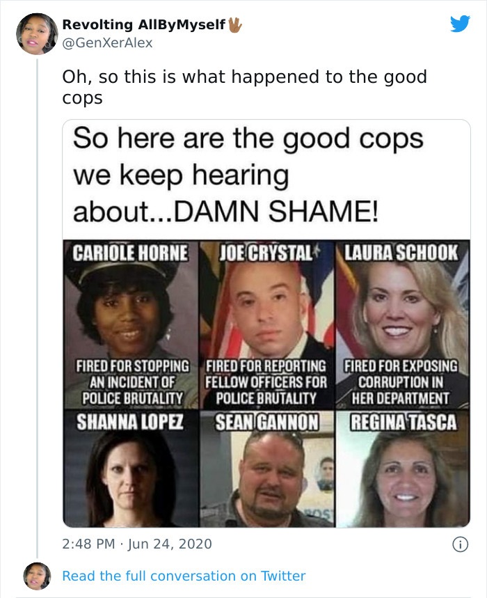 brutal pics of our harsh world - good cops get fired - Revolting All By Myself Oh, so this is what happened to the good cops So here are the good cops we keep hearing about...Damn Shame! Cariole Horne Joe Crystal Laura Schook Fired For Stopping Fired For 