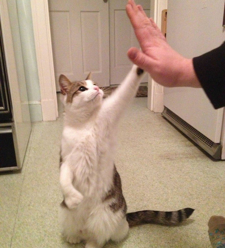 21 People Who Got Really Lucky.