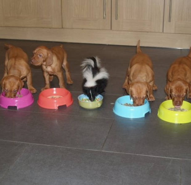 21 People Who Got Really Lucky.