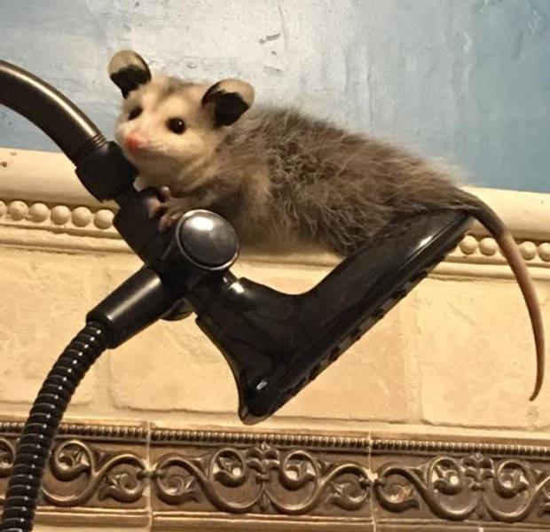 21 People Who Got Really Lucky.